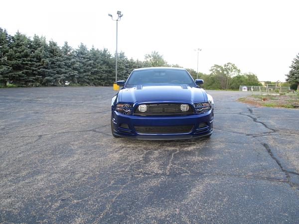 What did you do with your Mustang today?*-image-2937228379.jpg