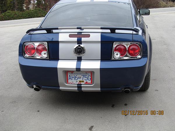 What did you do with your Mustang today?*-img_1101.jpg