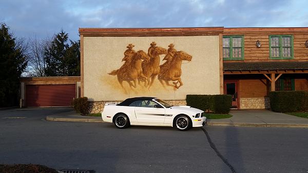 What did you do with your Mustang today?*-20141225_152518.jpg