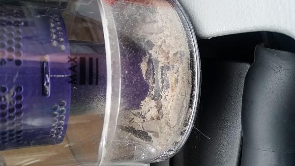 What did you do with your Mustang today?*-20150214_093205.jpg