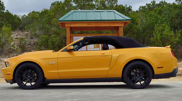 What did you do with your Mustang today?*-mmd-5.jpg