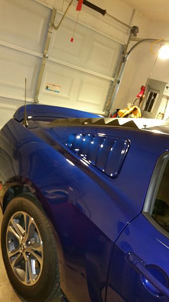 What did you do with your Mustang today?*-2015-02-22-07.17.31.jpg