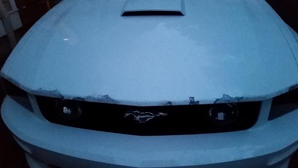 What did you do with your Mustang today?*-20150217_180105.jpg