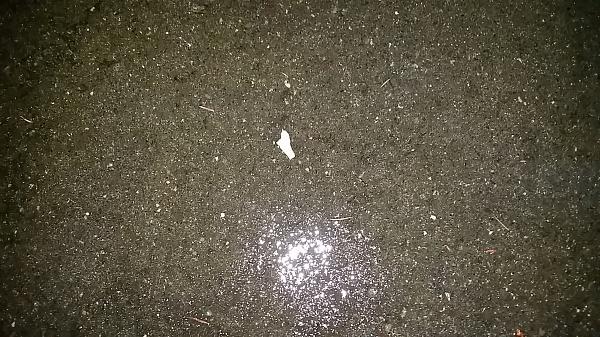 What did you do with your Mustang today?*-20150217_180046.jpg