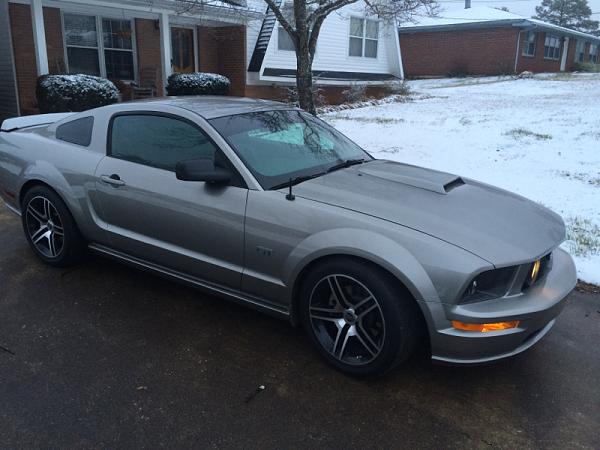 What did you do with your Mustang today?*-image-3161087546.jpg