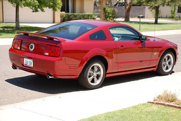 What did you do with your Mustang today?*-201f.jpg