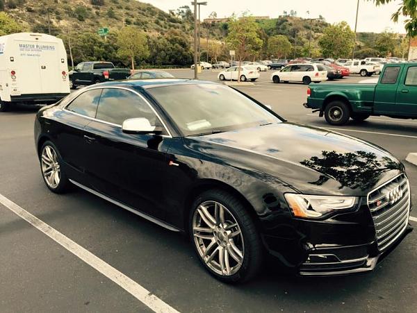 Ponies on The Run!-audi.jpg