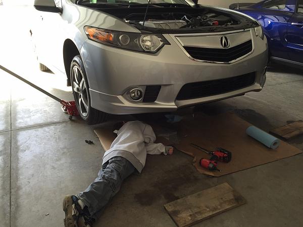 What did you do with your Mustang today?*-image.jpg