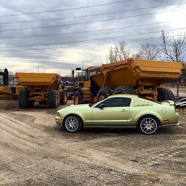 What did you do with your Mustang today?*-image-3448246243.jpg