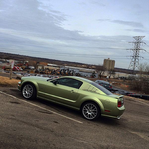 What did you do with your Mustang today?*-image-1223119609.jpg