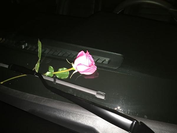 Something happened to my ride while parked in the streets of SF....-flower.jpg
