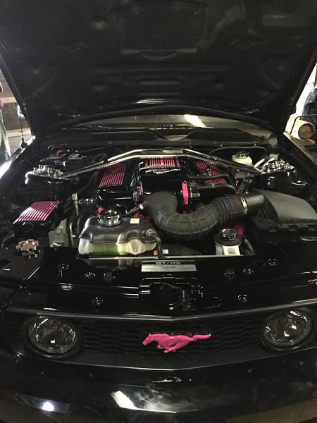 What did you do with your Mustang today?*-image-2207850086.jpg