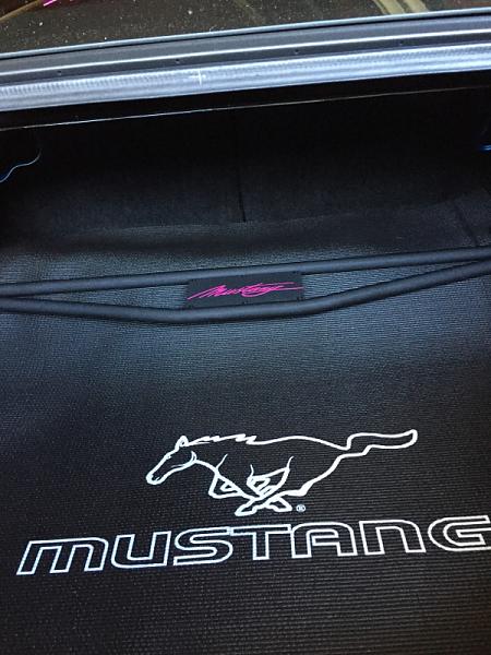What did you do with your Mustang today?*-image-3318100049.jpg