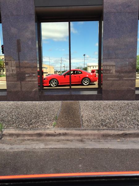 What did you do with your Mustang today?*-image-3759920425.jpg