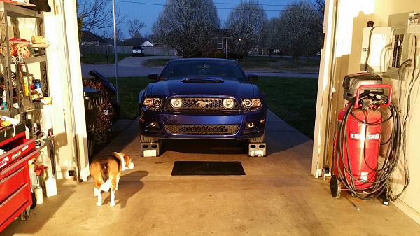 What did you do with your Mustang today?*-2015-03-24-08.42.09.jpg
