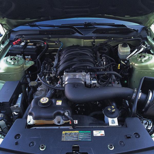 What did you do with your Mustang today?*-image-2579016406.jpg