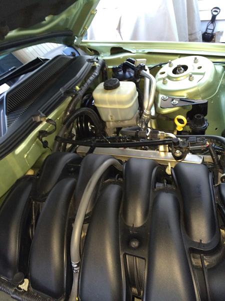 What did you do with your Mustang today?*-image-2915358314.jpg