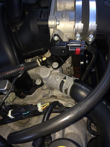 What did you do with your Mustang today?*-image-2589010242.jpg