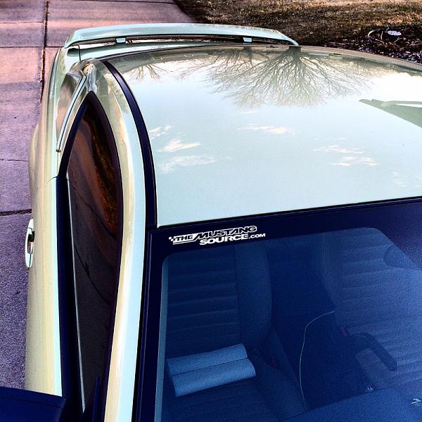 What did you do with your Mustang today?*-image-1900614651.jpg