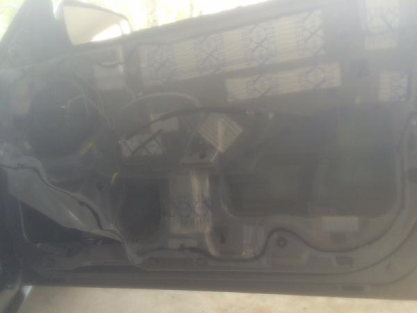 What did you do with your Mustang today?*-image-1759244924.jpg