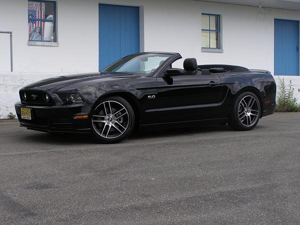 What did you do with your Mustang today?*-018-copy.jpg