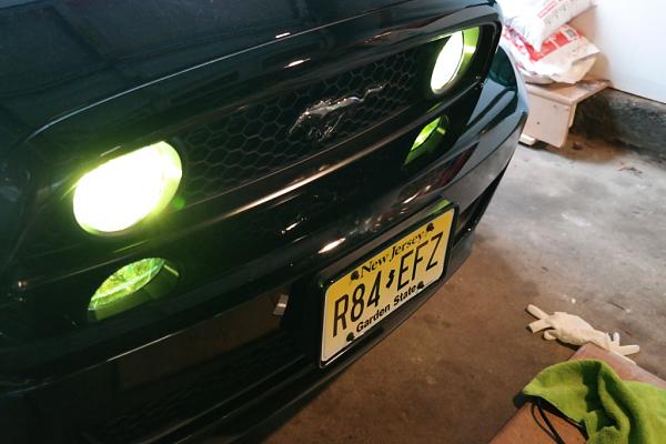 What did you do with your Mustang today?*-009.jpg