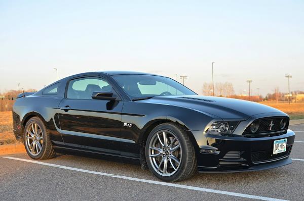 What did you do with your Mustang today?*-11049530_1025588014136207_5613891919055812187_o.jpg