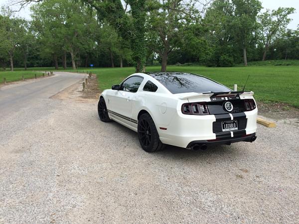 What did you do with your Mustang today?*-image-2529428336.jpg