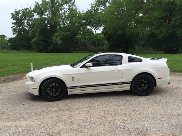 What did you do with your Mustang today?*-image-2072450610.jpg