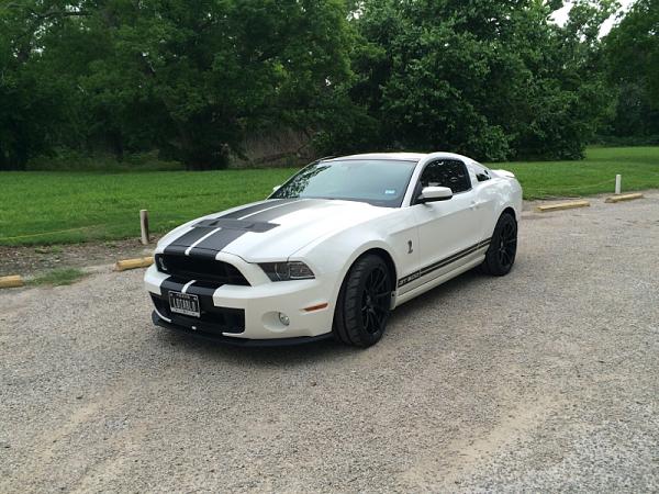 What did you do with your Mustang today?*-image-1251258033.jpg