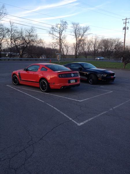 What did you do with your Mustang today?*-image-1667144416.jpg