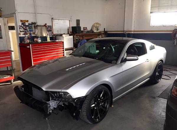 What did you do with your Mustang today?*-image.jpg