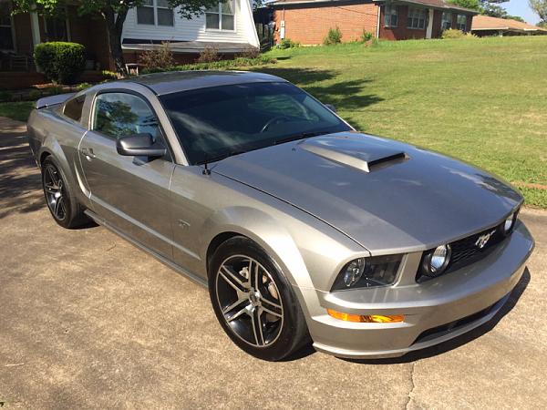 What did you do with your Mustang today?*-image-250633017.jpg