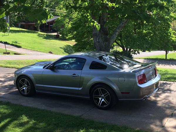 What did you do with your Mustang today?*-image-1947115790.jpg