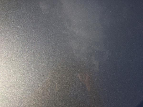 What did you do with your Mustang today?*-image-3613829071.jpg