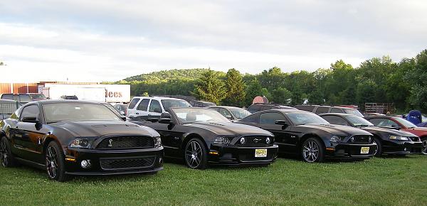 What did you do with your Mustang today?*-murderers-row-compressed.jpg