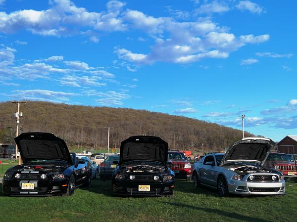 What did you do with your Mustang today?*-c050.jpg