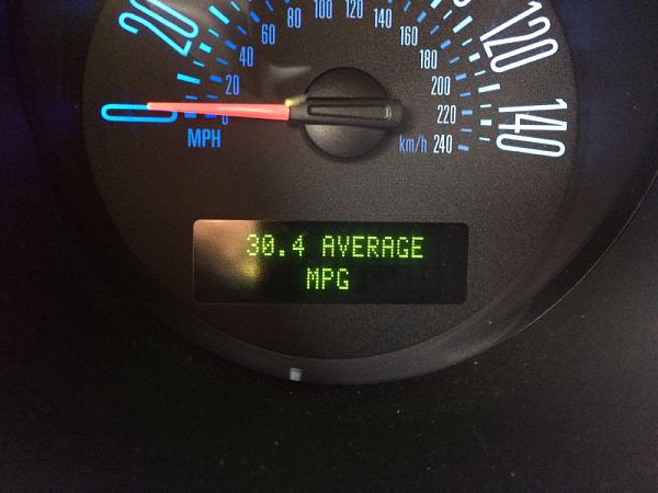 What did you do with your Mustang today?*-image-3536064637.jpg