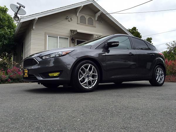 What did you do with your Mustang today?*-image.jpg