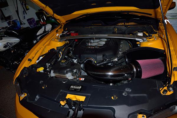 What did you do with your Mustang today?*-before.jpg