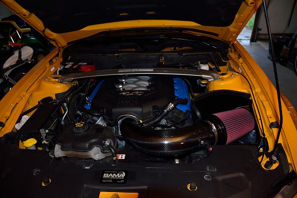 What did you do with your Mustang today?*-after.jpg