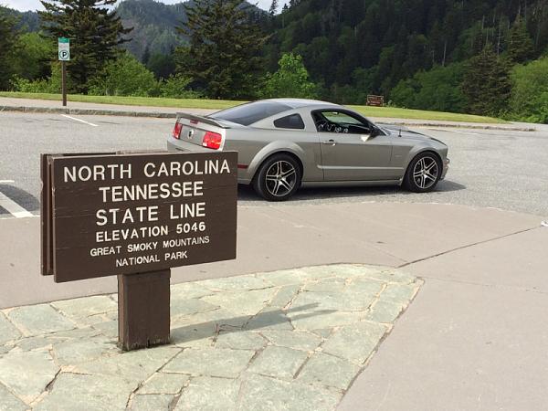 What did you do with your Mustang today?*-image-2148088634.jpg