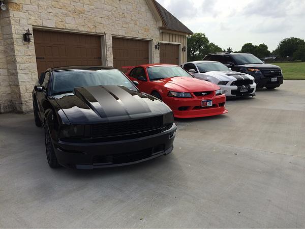 What did you do with your Mustang today?*-photo635.jpg
