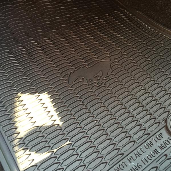 What did you do with your Mustang today?*-stang1.jpg