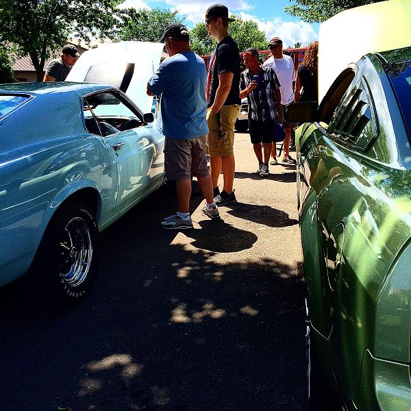 What did you do with your Mustang today?*-image.jpg