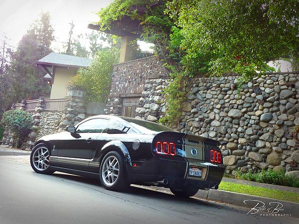 Ponies on The Run!-pasadena-logo-re.jpg