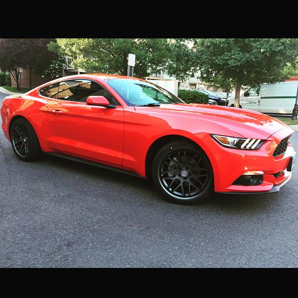 What did you do with your Mustang today?*-img_1637.jpg