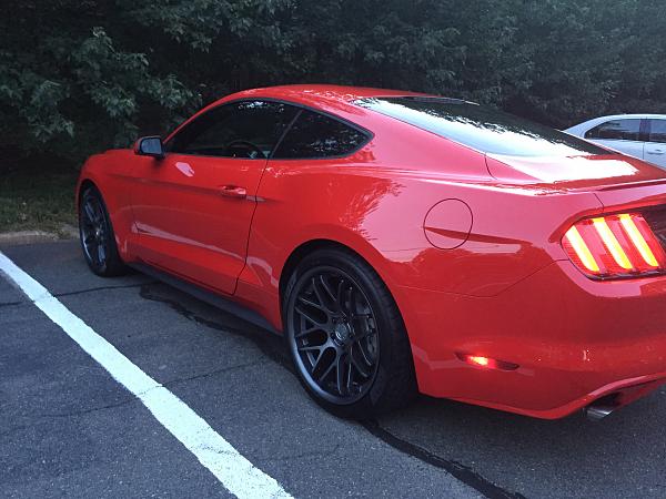 What did you do with your Mustang today?*-img_1639.jpg