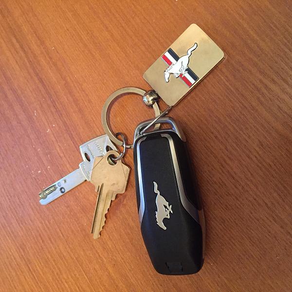 What did you do with your Mustang today?*-img_1640.jpg