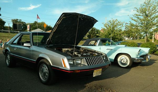 What did you do with your Mustang today?*-c15.jpg